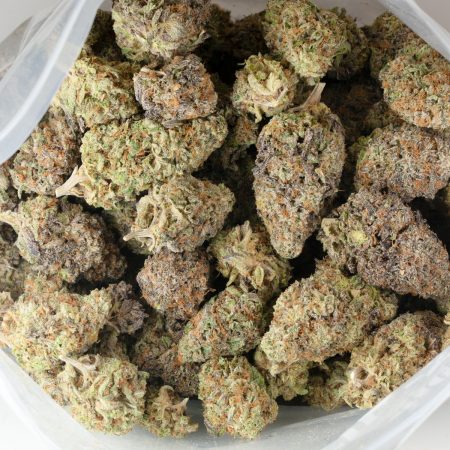 Buy Permanent Marker Strain Online Green Society