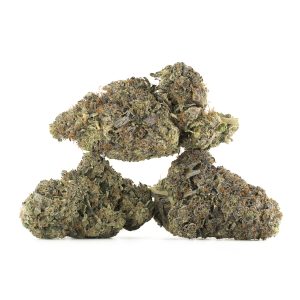 Buy Pink Gas Mask Strain Online Green Society