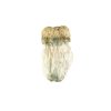 Buy Soucoupe Volante #13 Mushrooms Online Green Society
