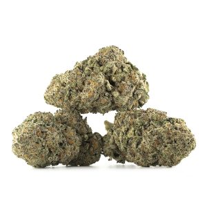 Buy Space Queen Strain Online Green Society