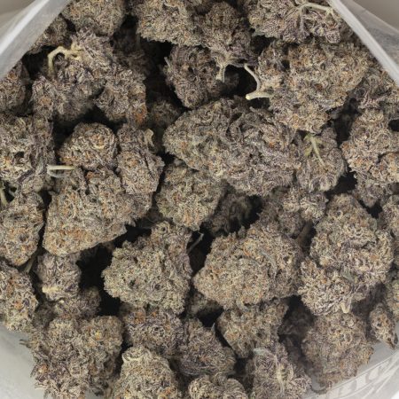 Buy Where's My Bike by Karma Genetics Online Green Society