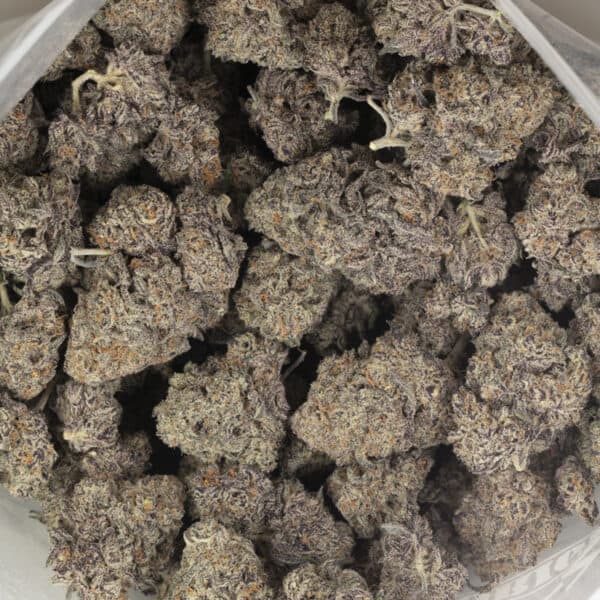 Buy Where's My Bike by Karma Genetics Online Green Society