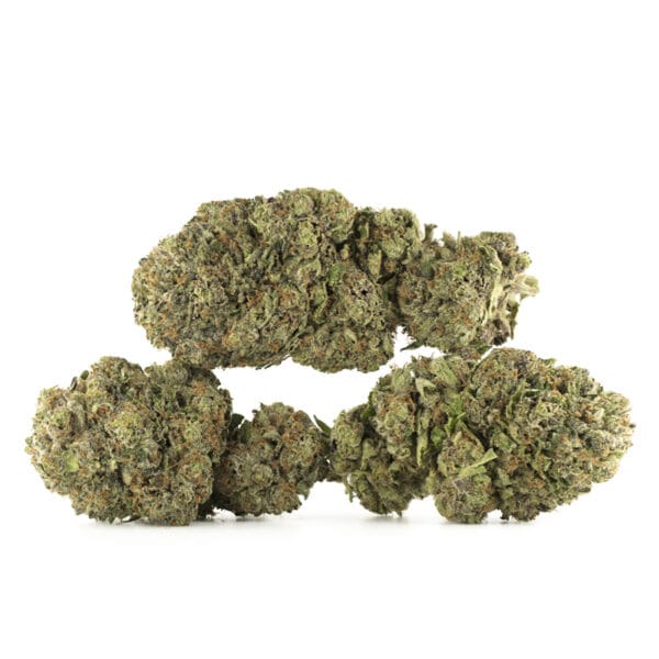 Buy Ace Killer OG Strain Online Green Society