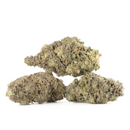 Buy Do-Si Cake Strain Online Green Society
