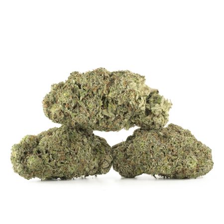 Buy Jack Herer Strain Online Green Society