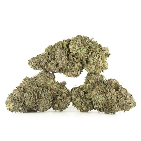 Buy Khalifa Mints Strain Online Green Society