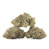 Buy Miracle Alien Cookies #10 Strain Online Green Society