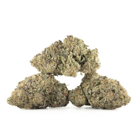 Buy Miracle Alien Cookies #10 Strain Online Green Society