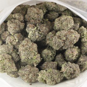 Buy Purple Punch Strain Online Green Society
