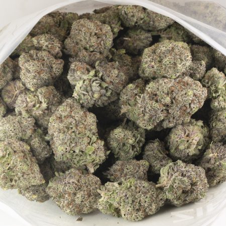 Buy Purple Punch Strain Online Green Society
