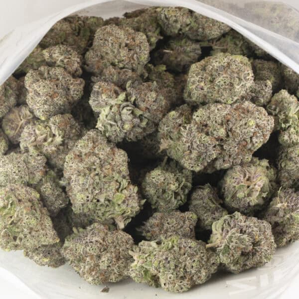 Buy Purple Punch Strain Online Green Society
