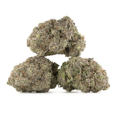 Buy Purple Punch Strain Online Green Society