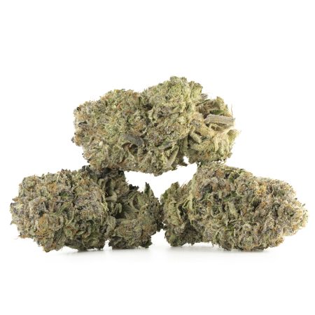 Buy Rockstar Tuna Strain Online Green Society