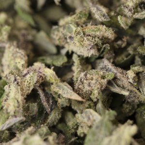 Buy Shake - Fruity Pebbles OG Strain Online Green Society