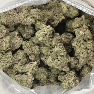 Buy 11 Week Pink Kush Strain Online Green Society