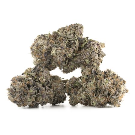 Buy Black Gas Strain Online Green Society