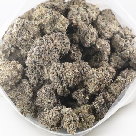 Buy Black Truffle Strain Online Green Society