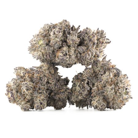 Buy Black Truffle Strain Online Green Society