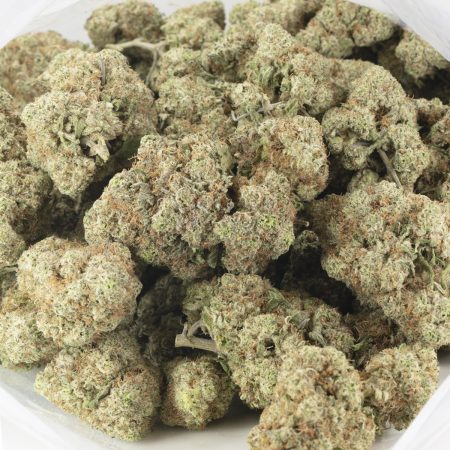 Buy Blue Dream Strain Online Green Society