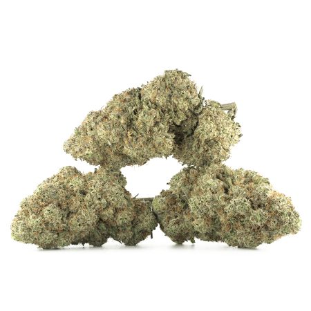 Buy Blue Dream Strain Online Green Society