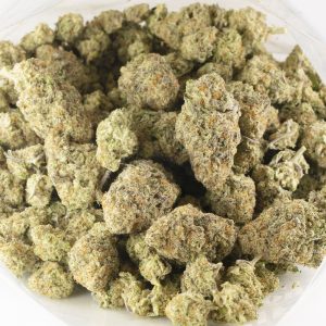 Buy Fruit Gushers Strain Online Green Society
