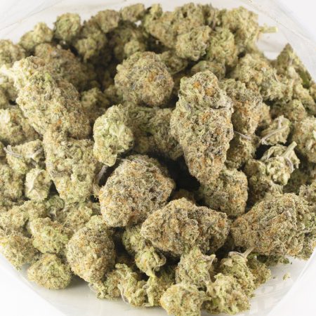 Buy Fruit Gushers Strain Online Green Society
