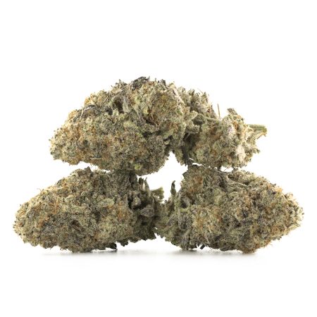 Buy Fruit Gushers Strain Online Green Society