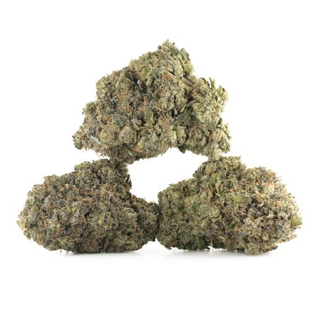 Buy Pink Gas Strain Online Green Society