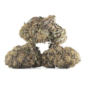 Buy Rainbow Pie Strain Online Green Society