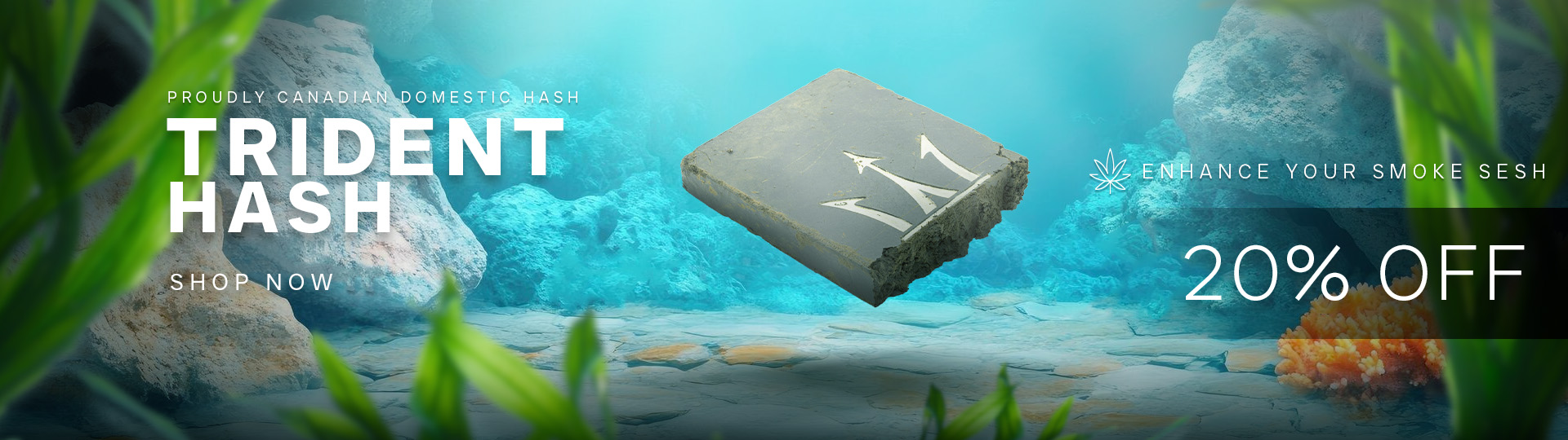 Trident Hash 20% Off