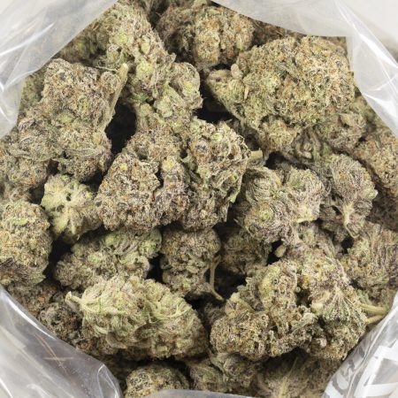 Buy Tropicana Cookies Strain Online Green Society