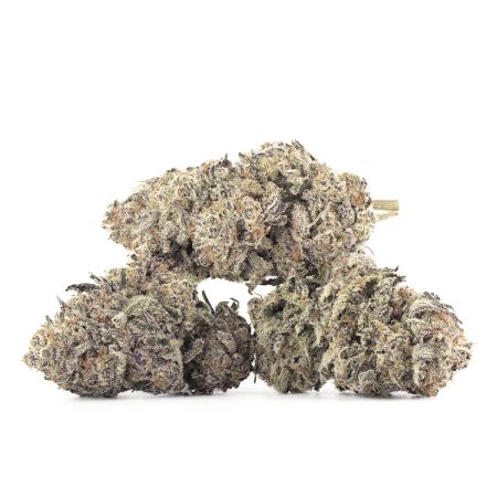 Buy Tropicana Cookies Strain Online Green Society