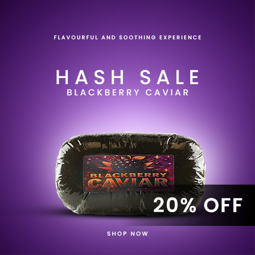 Blackberry Caviar Hash 20% Off