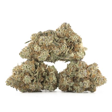 Buy Dante's Inferno Strain Online Green Society