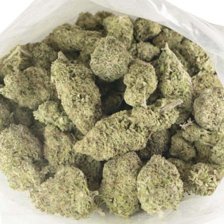 Buy Cactus Breath Strain Online Green Society