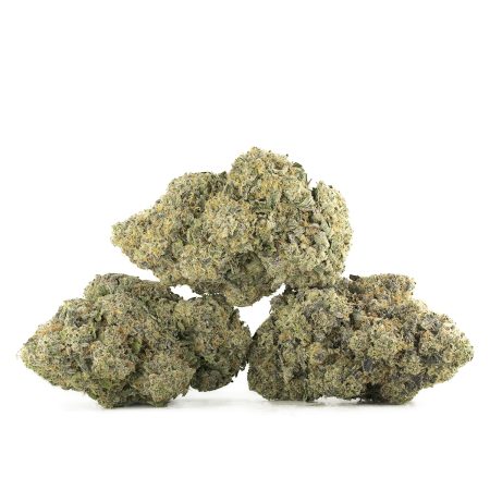 Buy Crystal Coma Strain Online Green Society