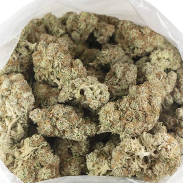 Buy Dante's Inferno Strain Online Green Society