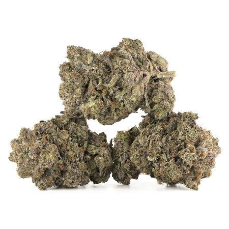 Buy Death Master Strain Online Green Society
