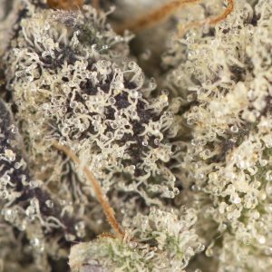 Buy Gelonade Strain Online Green Society