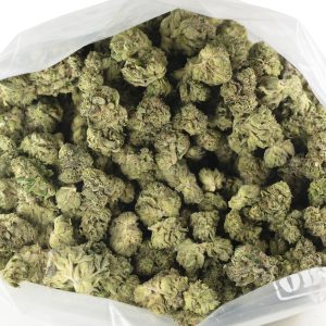 Buy Grease Monkey (Popcorn) Strain Online Green Society