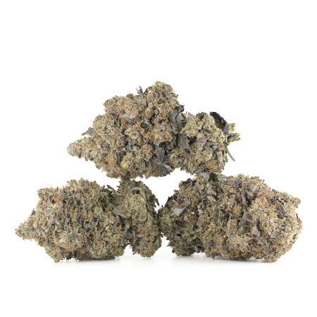 Buy Greasy Death Bubba Strain Online Green Society