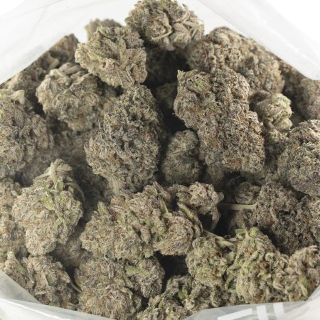 Buy Jealousy Strain Online Green Society