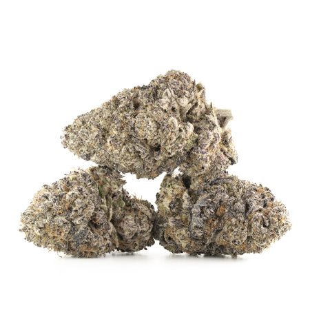 Buy Jealousy Strain Online Green Society