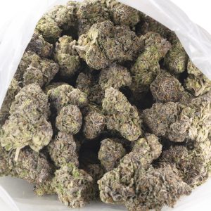 Buy King Tut Strain Online Green Society