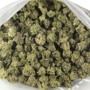 Buy Pink Kush (Popcorn) Online Green Society