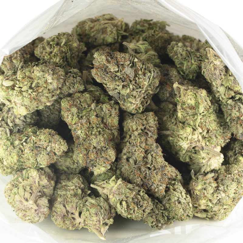 Buy Pink Quattro Strain Buy Weed Online Green Society