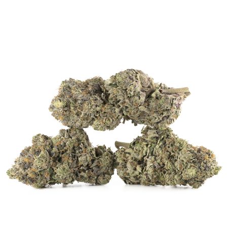Buy Pink Quattro Strain Online Green Society