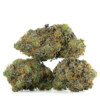Buy Pink Venom Strain Online Green Society