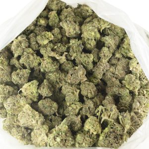 Buy 11 Week Pink Kush (Popcorn) Online Green Society