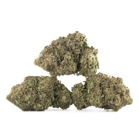 Buy Ahi Tuna Kush Strain Online Green Society